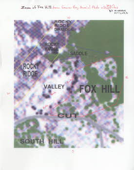 Fox hill aerial photo