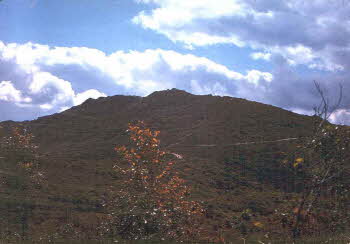 View of mountain from det