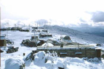 Snow covered det on hill