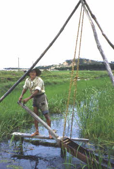 Korean traditional irrigation