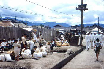 Korean market in Kangnung