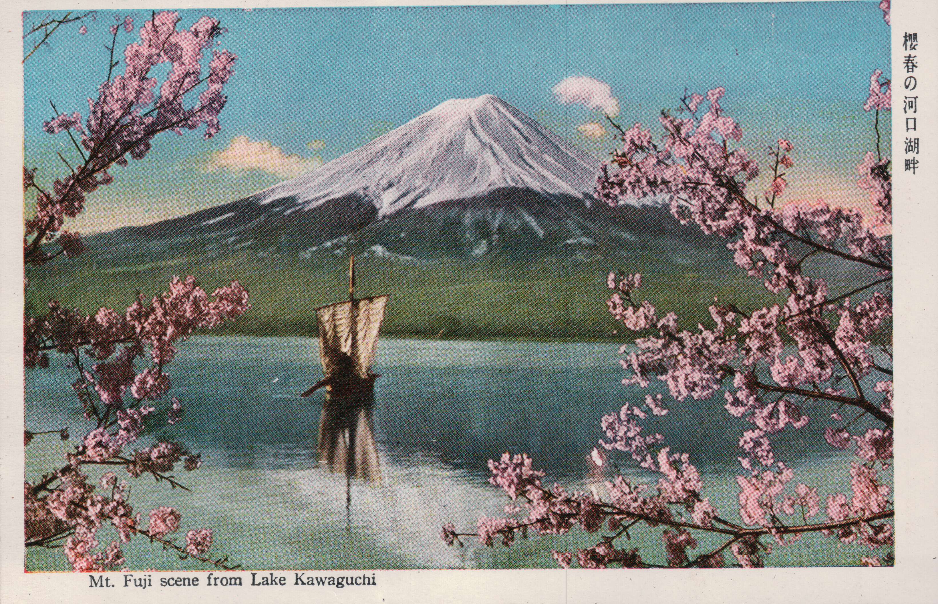 Mt. Fuji Postcard 