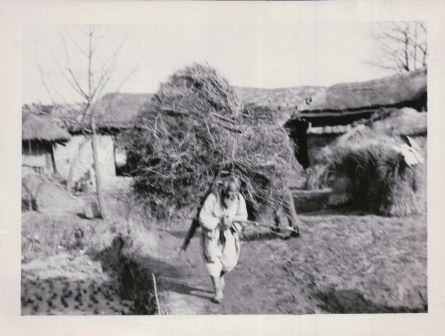 Civilian carrying hay