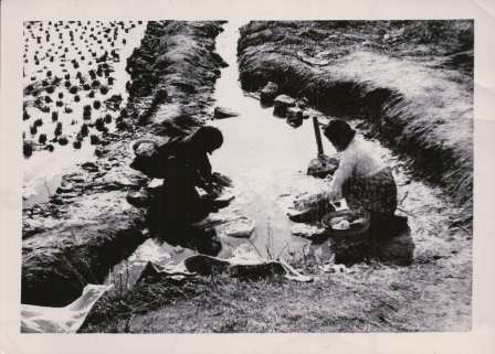 Two Korean woman doing the laundry