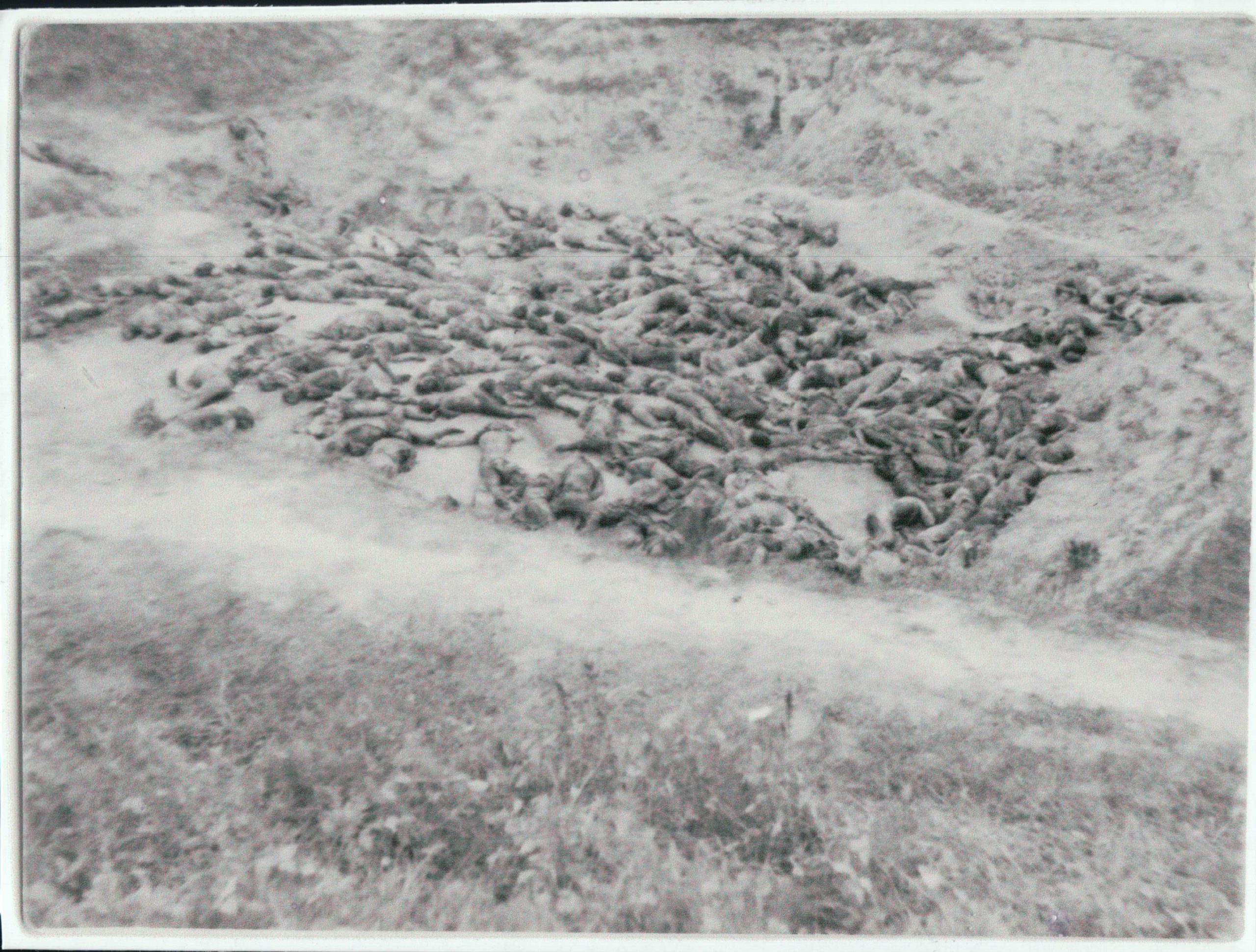 View of Mass Burial