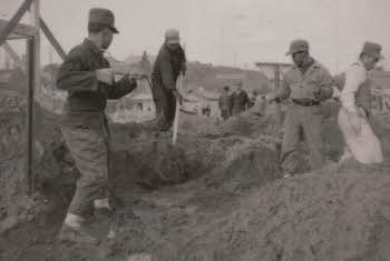 Korean soldiers demining