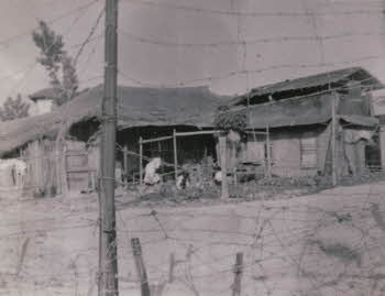 A Korean thatched house over wire mesh