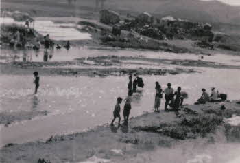 Koreans at stream