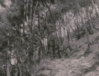 One soldier standing deep in the woods