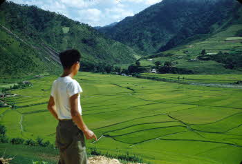 Korean guide looking to green fields