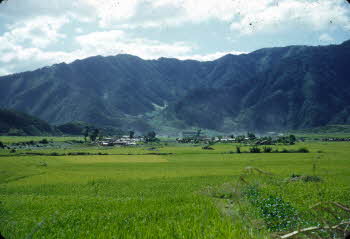 View of green fields and mountains