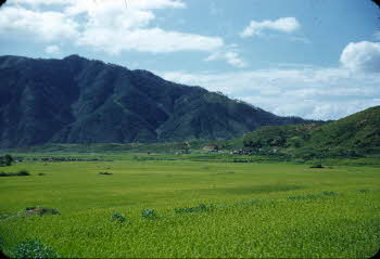 View of green fields and mountains