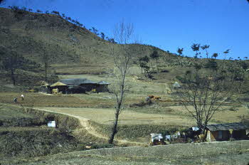 View of houses on hill