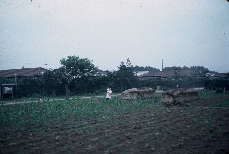 A picture of Mamasan and Babysan in the fields in Korea during 1953.