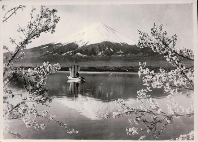 Mt. Fuji and Cherry Blossom