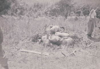 Dead bodies of enemy