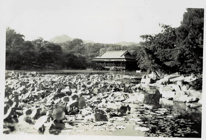 Pagoda Park