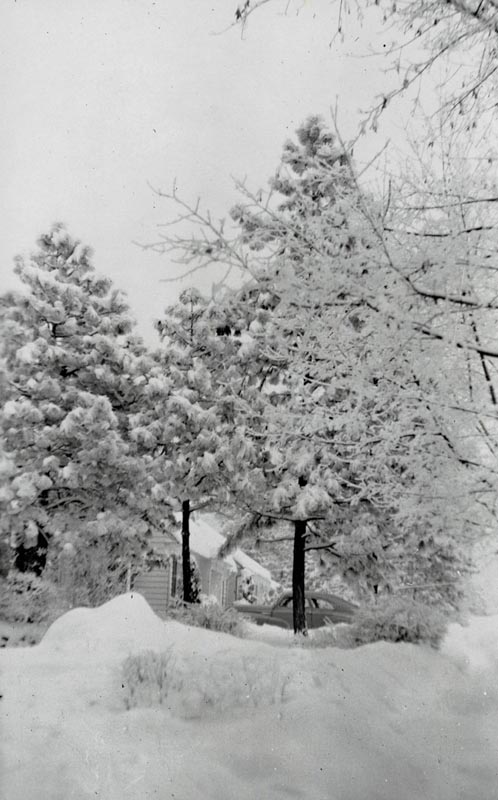 Winter 1951