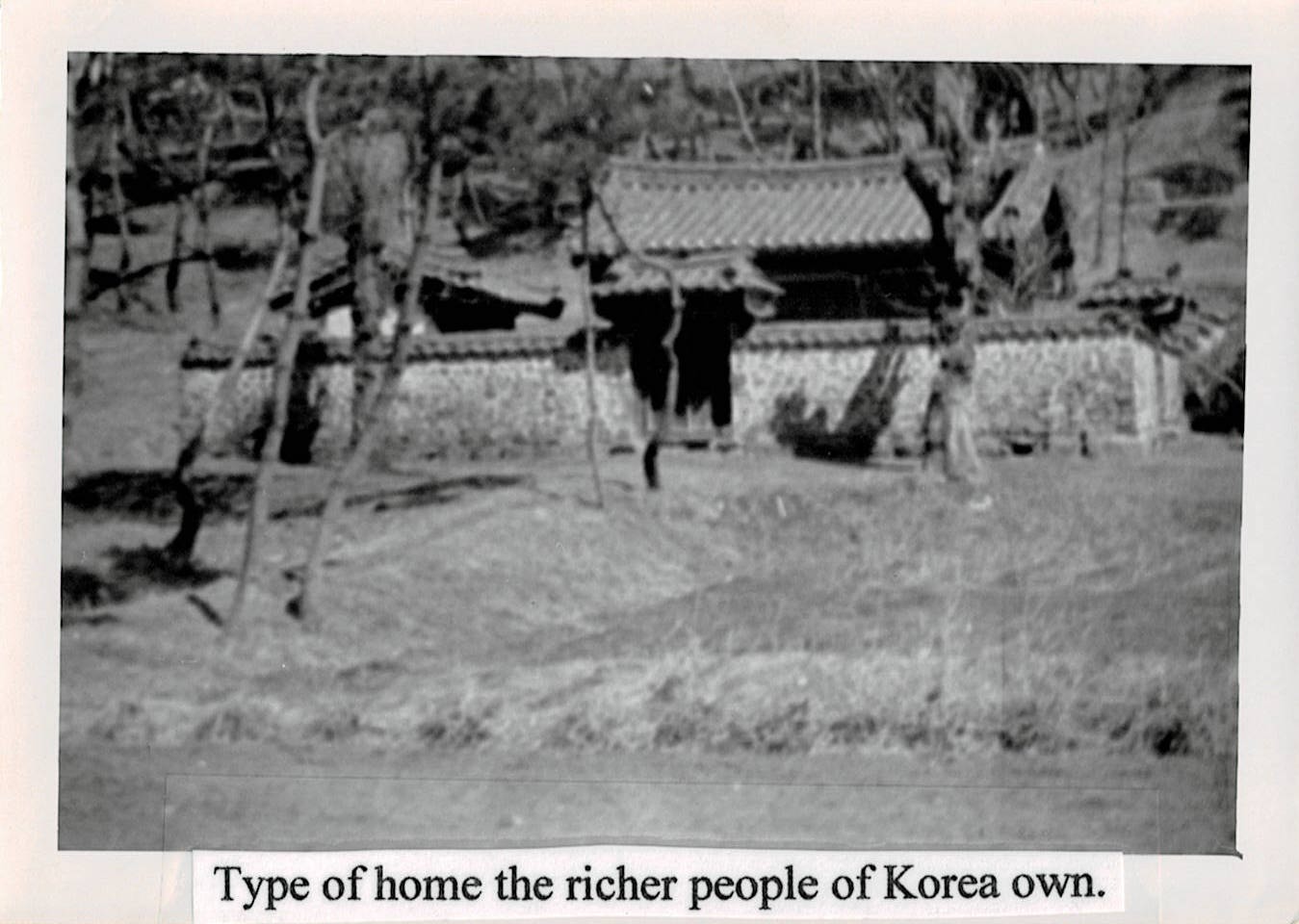 Type of Home the Richer People of Korea Own