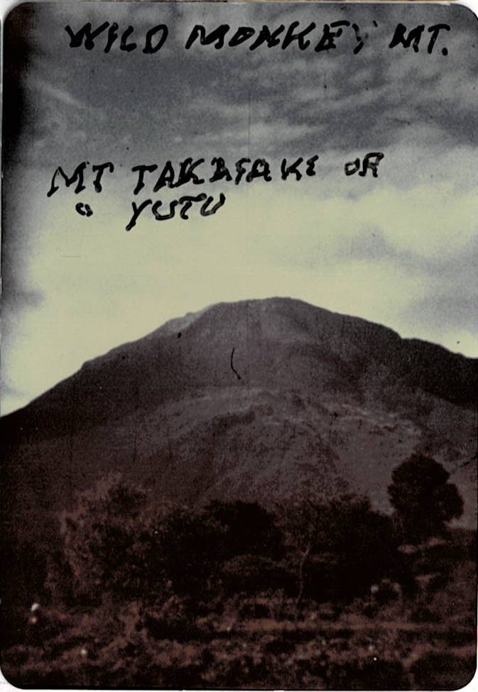 Wild Monkey Mt./Mt. Takafaki or Yutu