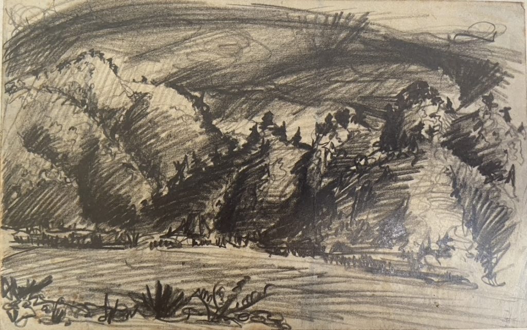 Sketch 13