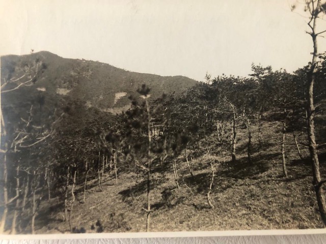 Wild Landscape during the War