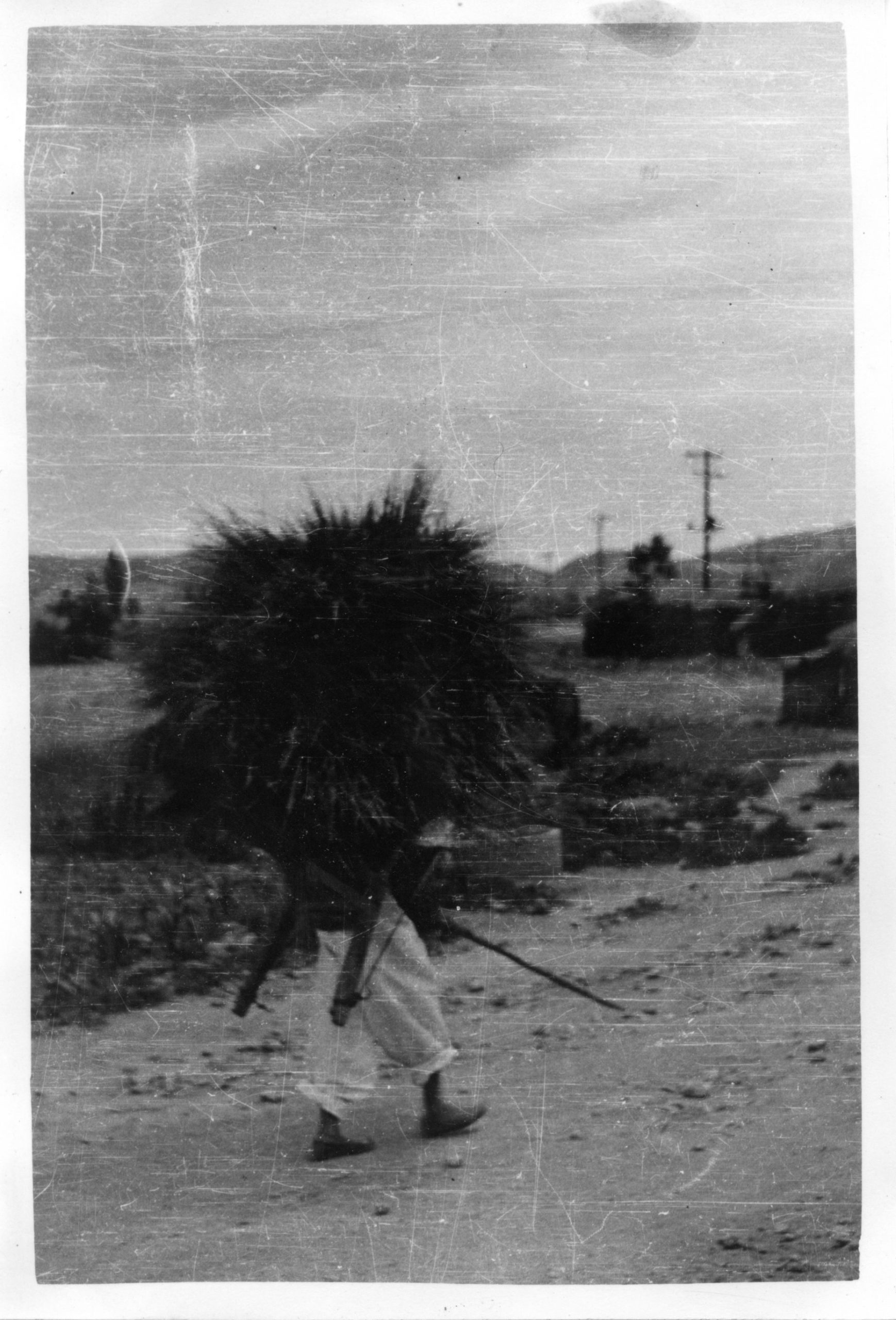 1952
